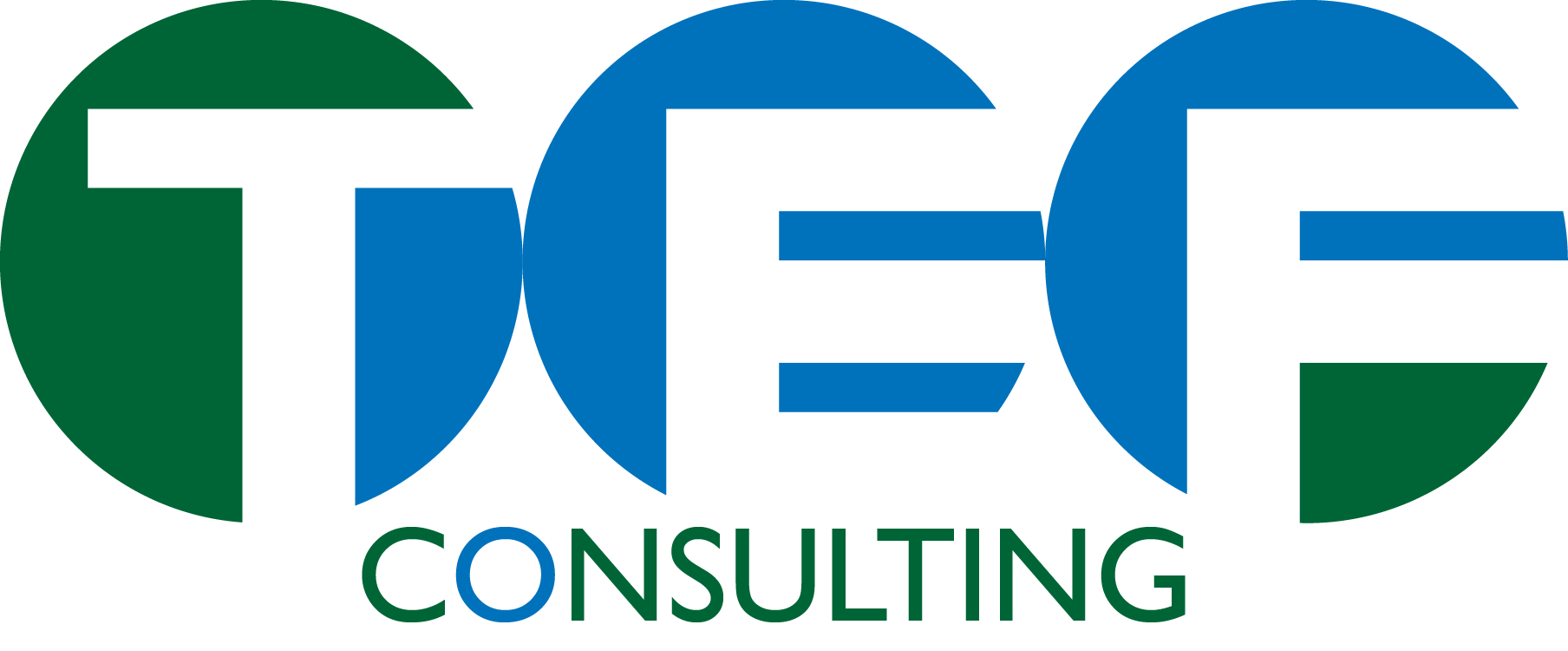 TEF Consulting